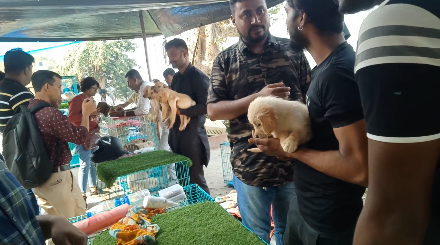 Serampore Pet Market